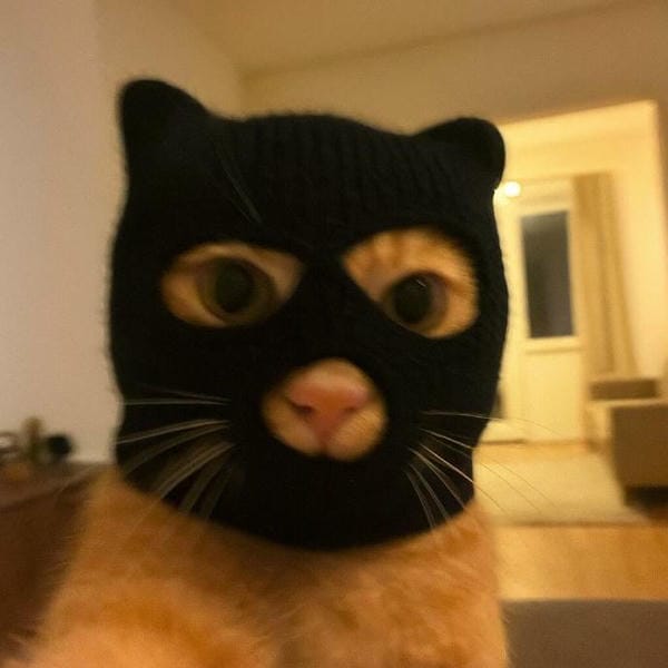 avatar vô tri ngầu 10