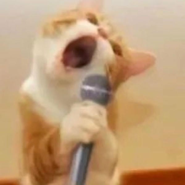 avatar vô tri ngầu 33