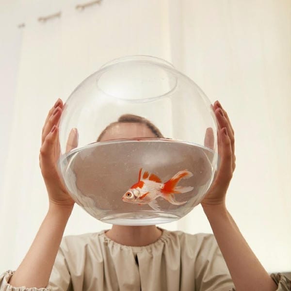 avatar vô tri nữ 27