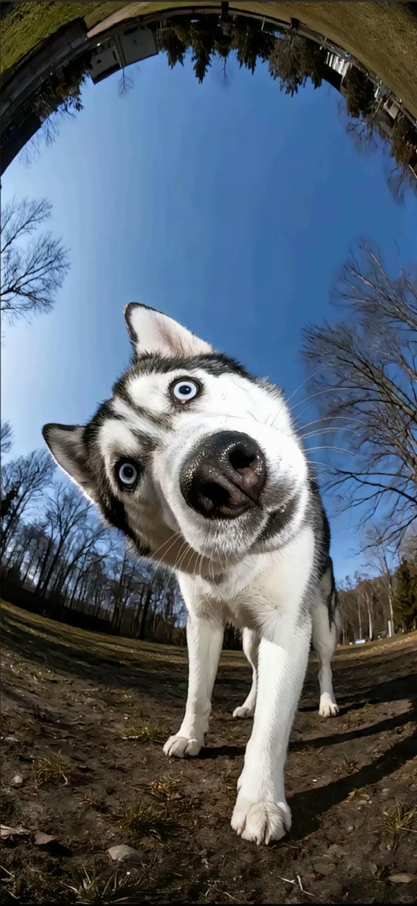 hình nền vô tri 12