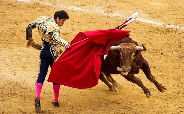 Đất Nước Nào Có Môn Thể Thao Quốc Gia Là Đấu Bò?