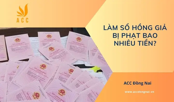 Làm Sổ Hồng Giả Giá Bao Nhiêu? Đánh Giá Chi Tiết Về Rủi Ro & Hậu Quả Pháp Lý
