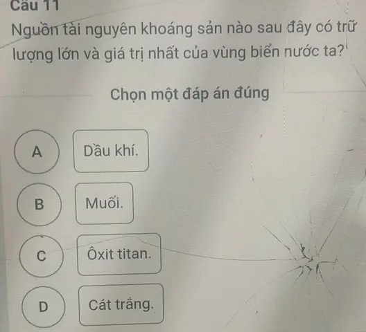 Khoáng Sản Biển Việt Nam: Nguồn Tài Nguyên Nào Có Trữ Lượng Lớn Và Giá Trị Nhất?