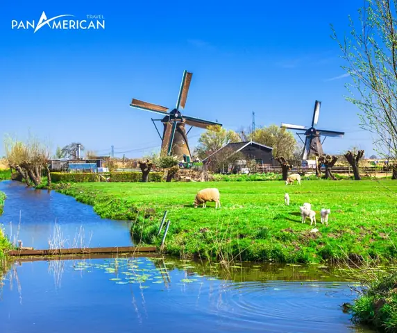 Quốc Gia Nổi Tiếng Với Hoa Tulip Và Cối Xay Gió Là Ai? Khám Phá Ngay!